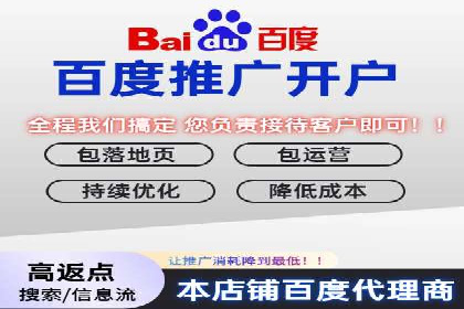 百度竞价广告投放案例解析